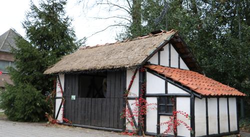 Geel Larum